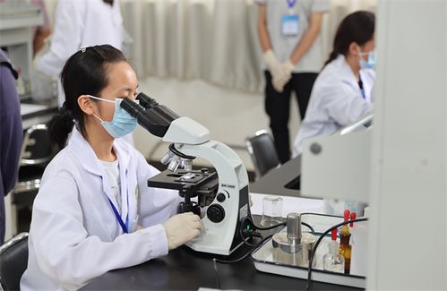 食品安全与质量检测 赛项在云农职举办 职业教育 教育频道