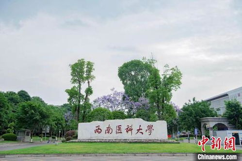 第二届中德职业教育合作论坛在泸州职业技术学院隆重举行